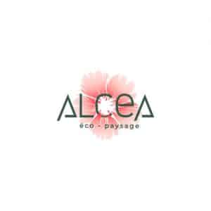 alcea